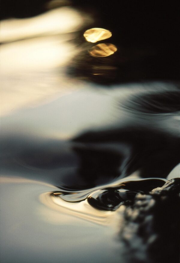 water, sun, reflection, nature, flow, lake, smooth, early morning, black wallpaper, black wallpaper, black wallpaper, black wallpaper, black wallpaper, black wallpaper