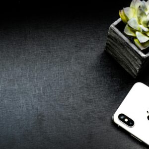Elegant flatlay of a smartphone and succulent on a dark background with ample copyspace.